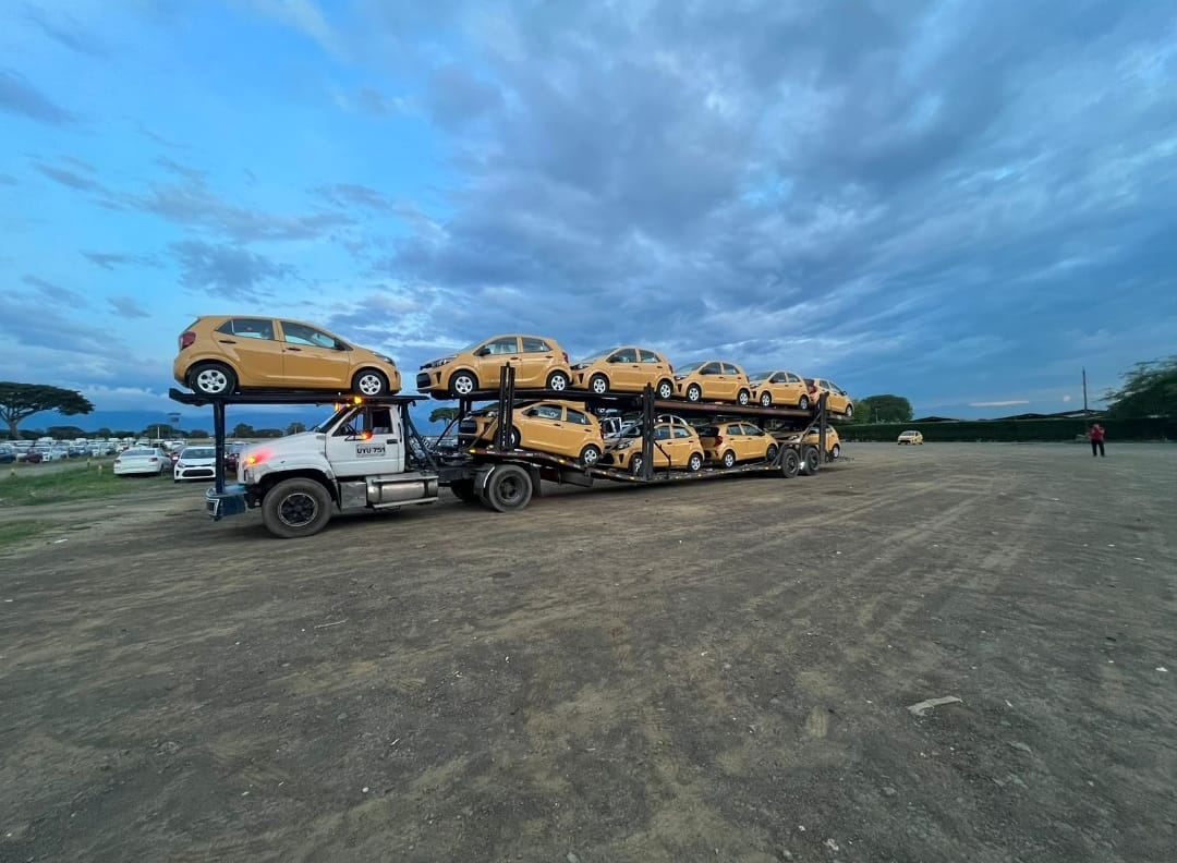 Transporte en Niñera 22